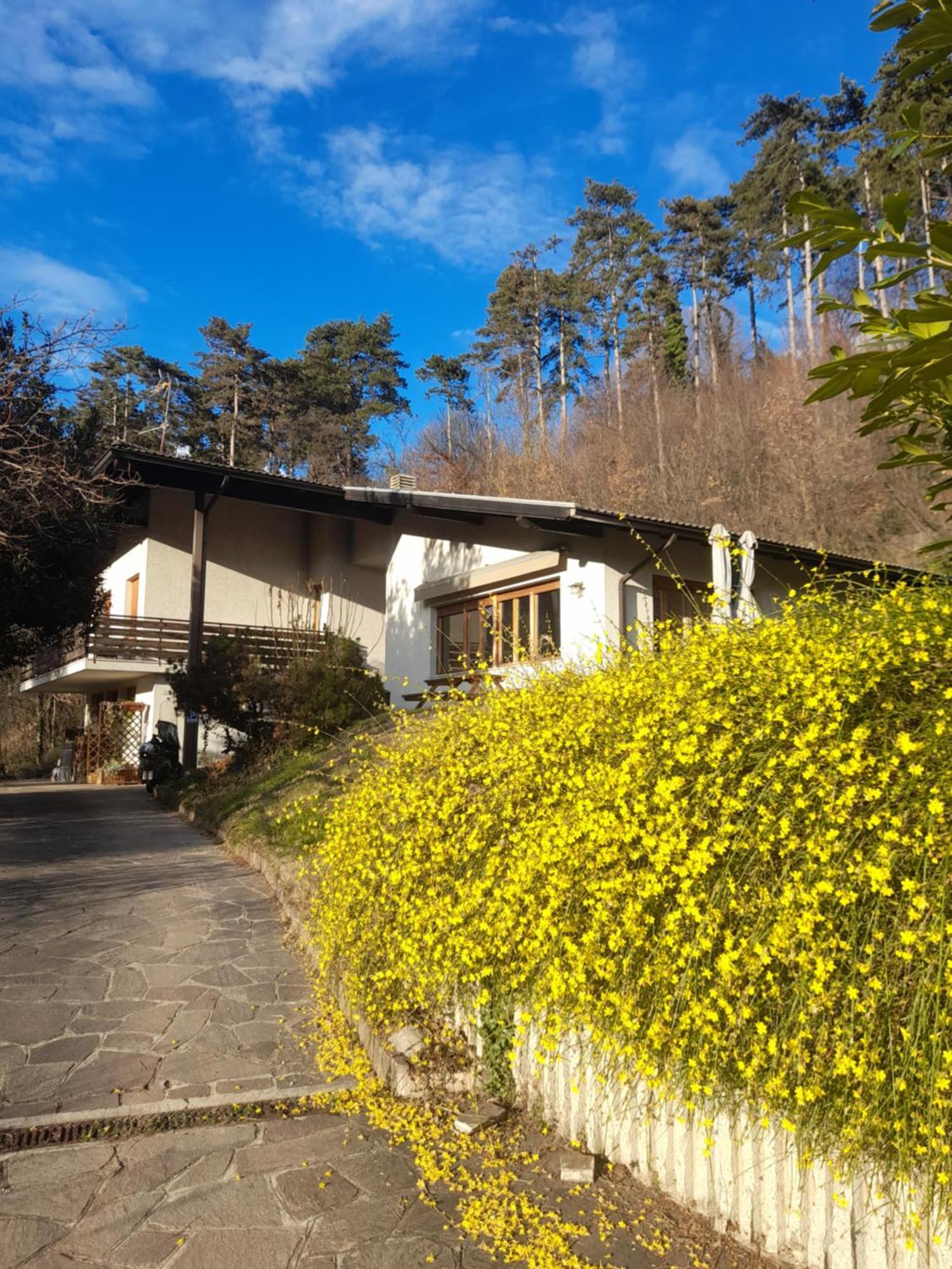 트렌토 Marzola B&B 외부 사진